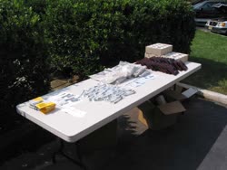 img3404t.jpg