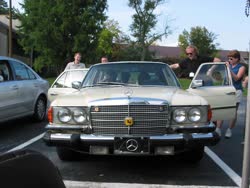 img3421t.jpg
