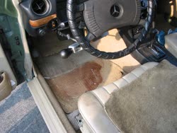 img3425t.jpg