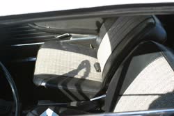 Img2637t.jpg