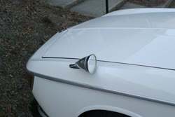 Img2938t.jpg