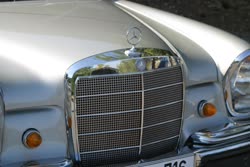 Img2792t.jpg