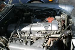 img2457t.jpg