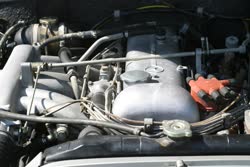 img2463t.jpg