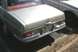 img2465t.jpg
