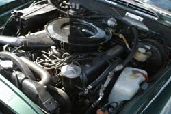 img2506t.jpg