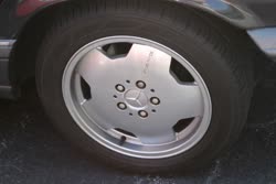 Img2559t.jpg