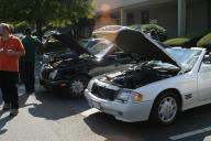 Img2607t.jpg