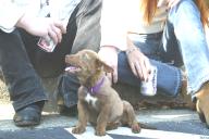 Img2434t.jpg