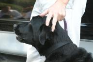 Img2438t.jpg
