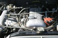 Img2463t.jpg
