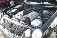 Img2492t.jpg