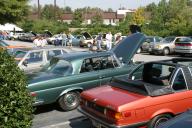 Img2520t.jpg