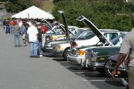 Img2535t.jpg