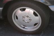 Img2559t.jpg