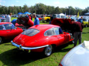 jaguar11t.jpg