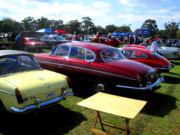 jaguar13t.jpg