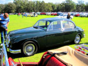 jaguar15t.jpg