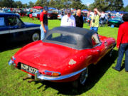 jaguar17t.jpg