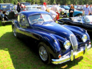 jaguar19t.jpg