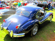 jaguar21t.jpg