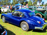 jaguar22t.jpg