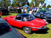 jaguar28t.jpg