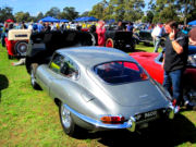 jaguar29t.jpg