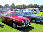 jaguar30t.jpg