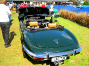 jaguar31t.jpg
