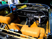 jaguar33t.jpg