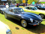 jaguar35t.jpg