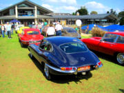 jaguar36t.jpg