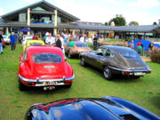 jaguar37t.jpg