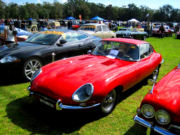 jaguar3t.jpg