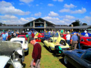 jaguar43t.jpg