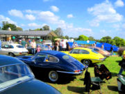jaguar48t.jpg
