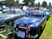jaguar50t.jpg