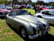 jaguar52t.jpg