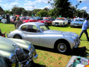 jaguar53t.jpg