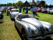 jaguar54t.jpg