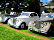 jaguar55t.jpg