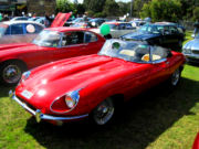 jaguar56t.jpg