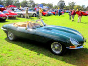jaguar5t.jpg