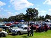 jaguar67t.jpg