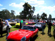 jaguar68t.jpg