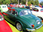 jaguar7t.jpg