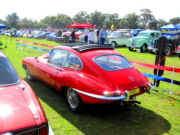 jaguar8t.jpg