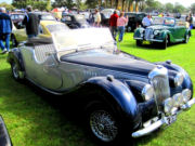 riley6t.jpg