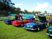 tr61t.jpg